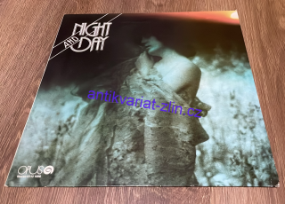 NIGHT AND DAY : VINYL