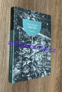 Piotr Paziňski - Ptačí ulice
