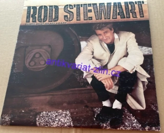LP ROD STEWART : EVERY BEAT OF MY HEART