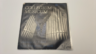 SP COLLEGIUM MUSICUM : ULICA PLNÁ PLÁŠŤOV DO DAŽĎA