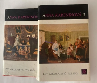 LEV NIKOLAJEVIČ TOLSTOJ : ANNA KARENINOVÁ