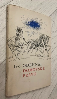IVO ODEHNAL : DOMOVSKÉ PRÁVO