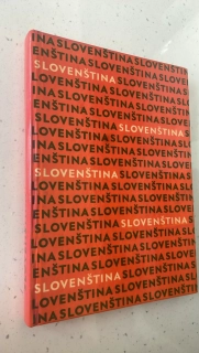 Slovenština vysokoškolská učebnice pro studující českého jazyka