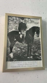 Tomáš Garyk Masaryk : Na koni Hektorovi