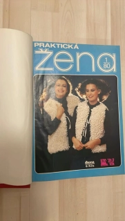 Praktická žena 1980