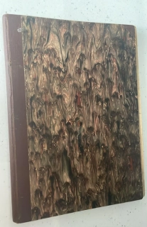 ČINOVNÍK časopis pro československé junácké pracovníky a teorie junácké výchovy