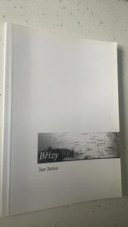 Jan Jansa : Břízy