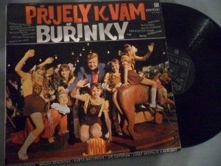 PŘIJELY K VÁM BUŘINKY-LP