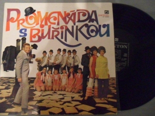PROMENÁDA S BUŘINKOU-LP