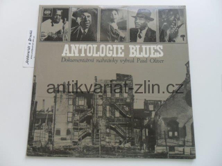 2 LP ANTOLOGIE BLUES